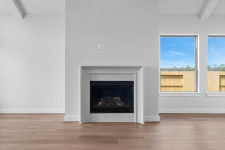 Gas Fireplace