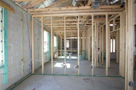 New construction Single-Family house 33224 Amling Pecan Branch, Wesley Chapel, FL 33545 Newport II- photo 16 16