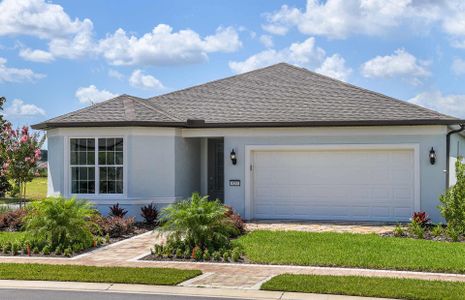 New construction Single-Family house 9312 Royal River Circle, Parrish, FL 34219 - photo 0