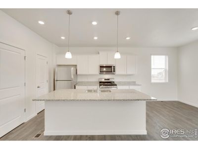 New construction Single-Family house 1938 Knobby Pine Dr Fort, Fort Collins, CO 80528 The Cabral- photo 13 13