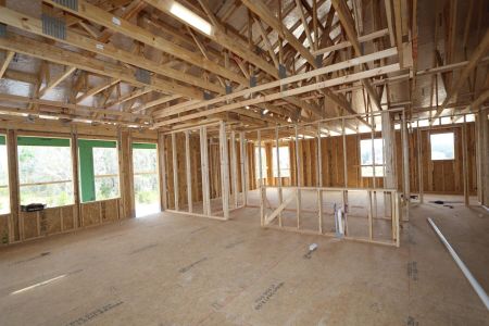 New construction Single-Family house 10614 New Morning Drive, Tampa, FL 33647 Grandsail  III- photo 6 6