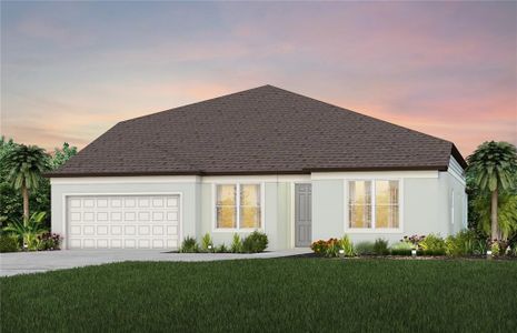 New construction Single-Family house 12085 Orchid Ash Street, Riverview, FL 33579 Easley - photo 0 0