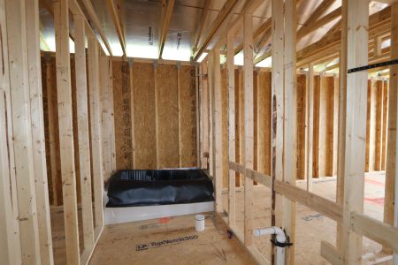 New construction Single-Family house 9635 Crescent Ray Drive, Wesley Chapel, FL 33545 Mira Lago- photo 24 24