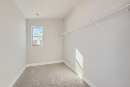New construction Single-Family house 15185 West 68th Place, Arvada, CO 80007 - photo 61 61
