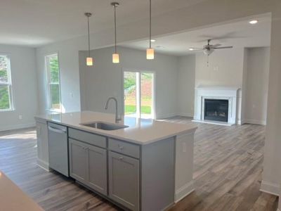 New construction Single-Family house 160 Carmichael Drive, Canton, GA 30115 Biltmore- photo