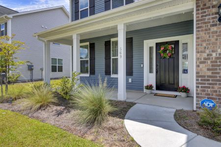 New construction Single-Family house 569 Dunswell Drive, Summerville, SC 29486 - photo 2 2