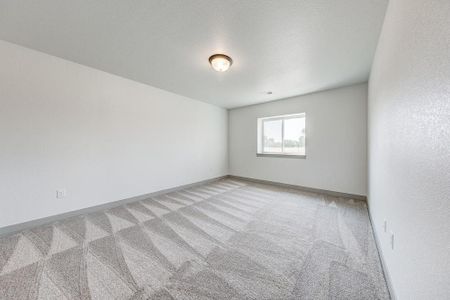 New construction Single-Family house 8412 Cromwell Circle, Windsor, CO 80528 - photo 55 55