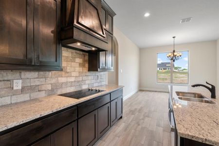 New construction Single-Family house 440 Solo Ridge Drive, Waxahachie, TX 75167 - photo 9 9
