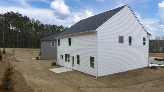 New construction Single-Family house 253 Friendship Oak Way, Hampton, GA 30228 Packard- photo 33 33