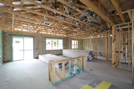 New construction Single-Family house 31835 Sapna Chime Drive, Wesley Chapel, FL 33545 Salinas- photo 37 37