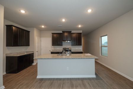 New construction Single-Family house 7230 Viridian View, San Antonio, TX 78253 - photo 14 14