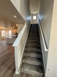 New construction Single-Family house 771 N Bently Street, Watkins, CO 80137 Bayberry- photo 10 10