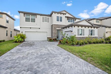 New construction Single-Family house 12850 Boggy Creek Drive, Riverview, FL 33579 - photo 3 3