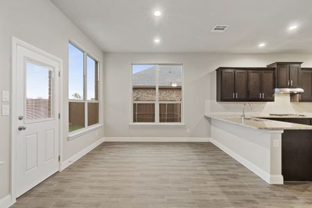 New construction Single-Family house 3688 Rolling Meadows Drive, Grand Prairie, TX 76065 - photo 70 70