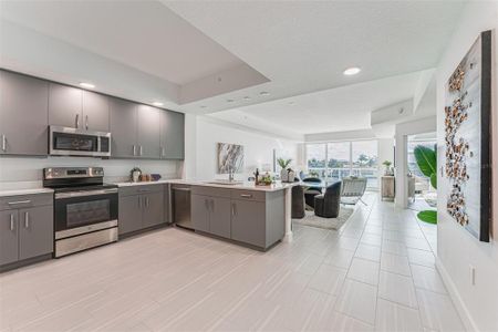 New construction Condo/Apt house 415 Island Way, Unit 202, Clearwater, FL 33767 - photo 2 2