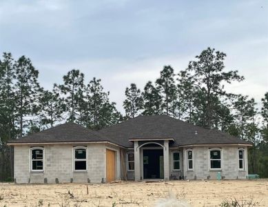 New construction Single-Family house 13187 52 Lane Road, Ocala, FL 34481 - photo 0 0