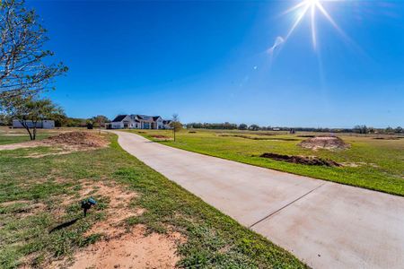 New construction Single-Family house 4427 Tin Top Road, Weatherford, TX 76087 - photo 3 3