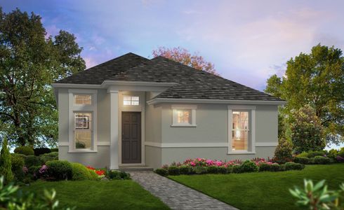 Bexley by ICI Homes in Land O' Lakes - photo 23 23