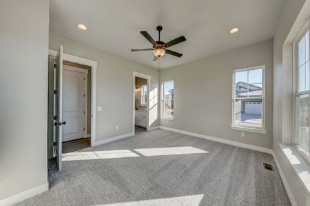 New construction Multi-Family house 8412 Cromwell Circle, Windsor, CO 80528 - photo 71 71