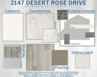 New construction Single-Family house 2147 Desert Rose Drive, Davenport, FL 33837 Serendipity- photo 8 8