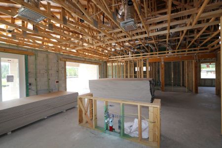 New construction Single-Family house 10609 New Morning Drive, Tampa, FL 33647 Corina  III Bonus- photo 17 17