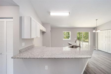 New construction Single-Family house 410 Redwood Drive, Dunnellon, FL 34431 - photo 22 22