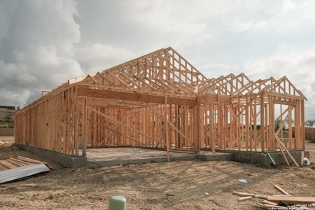 New construction Single-Family house 15427 Jake Crossing, San Antonio, TX 78245 Eastland- photo 3 3