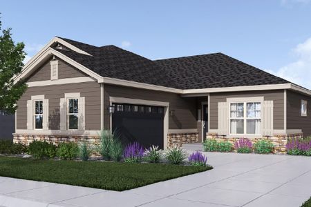 New construction Single-Family house Triumph, 803 West 128th Place, Westminster, CO 80234 - photo