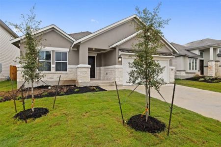 New construction Single-Family house Springfield, 17701 Henkes View, Pflugerville, TX 78660 - photo