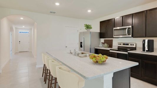 New construction Single-Family house 11105 Cotton Vale Place, San Antonio, FL 33576 - photo 12 12