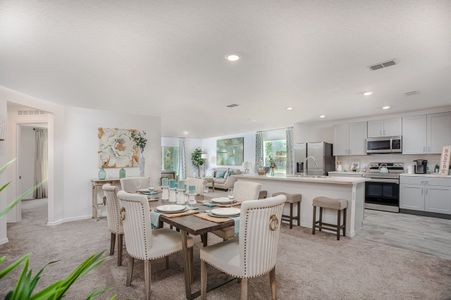 Flagler Estates by Focus Homes in Palm Coast - photo 21 21