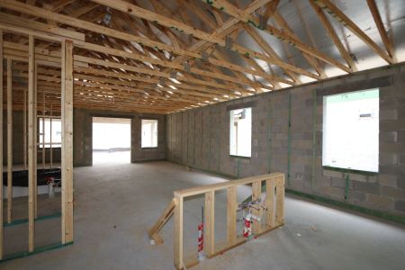 New construction Single-Family house 31843 Sapna Chime Drive, Wesley Chapel, FL 33545 Picasso- photo 8 8