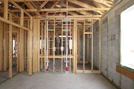 New construction Single-Family house 2952 Marine Grass Drive, Wimauma, FL 33598 Picasso- photo 20 20