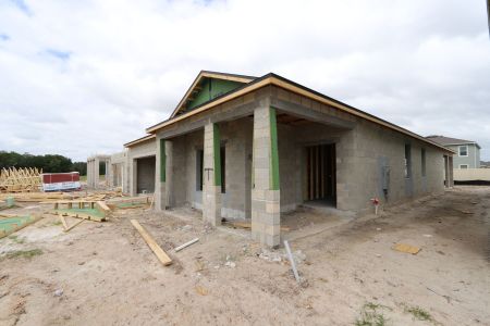 New construction Single-Family house 31843 Sapna Chime Drive, Wesley Chapel, FL 33545 Picasso- photo 18 18