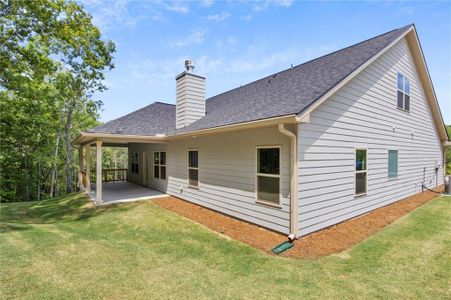 New construction Single-Family house 141 Lynn Top Ridge, Dallas, GA 30157 2604- photo 6 6