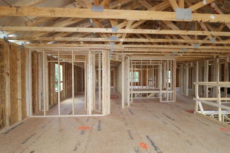 New construction Single-Family house 9635 Crescent Ray Drive, Wesley Chapel, FL 33545 Mira Lago- photo 22 22