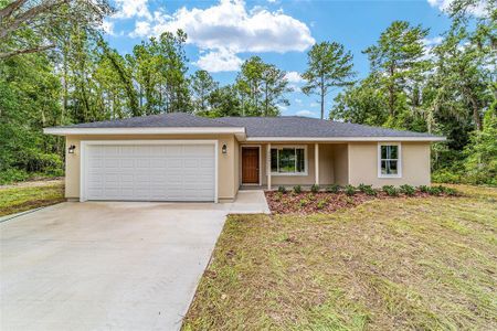 New construction Single-Family house 14579 Sw 79Th Terrace Road, Ocala, FL 34473 Lynnette- photo 0