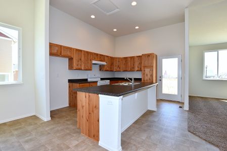 New construction Single-Family house 850 Forest Canyon Road, Severance, CO 80550 - photo 17 17