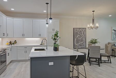 Isles At Venetian Bay by Platinum Builders in New Smyrna Beach - photo 3 3