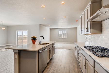 New construction Single-Family house 259 Marlowe Drive, Erie, CO 80516 - photo 11 11