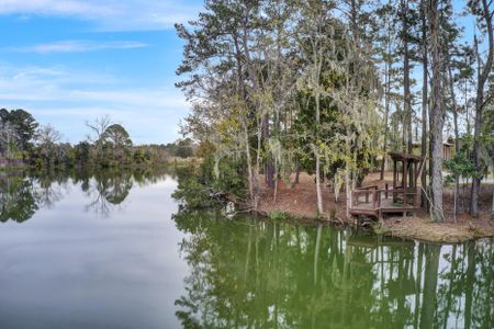 New construction Single-Family house 430 Woodgate Way, Summerville, SC 29485 - photo 29 29