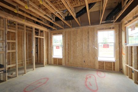 New construction Single-Family house 3126 Armeria Drive, Apex, NC 27502 Crabtree- photo 15 15