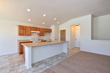 New construction Single-Family house 6611 West 5th Street, Greeley, CO 80634 - photo 13 13