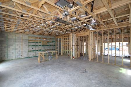 New construction Single-Family house 2857 Misty Marble Drive, Zephyrhills, FL 33540 Castellana- photo 12 12