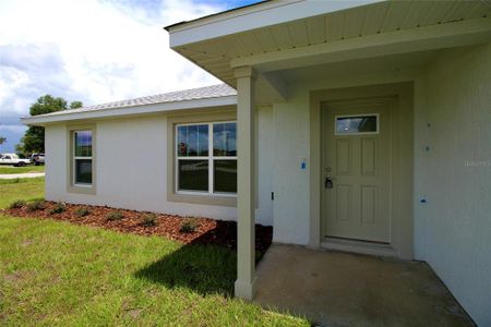 New construction Single-Family house 11 Locust Run Trace, Ocala, FL 34472 - photo 33 33
