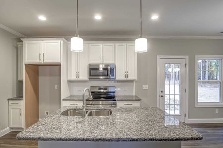 New construction Single-Family house 233 Clydes Point Way, Wendell, NC 27591 Clarion- photo 19 19