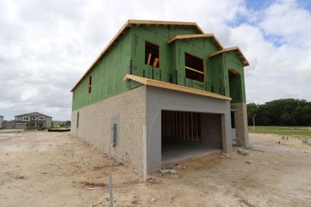 New construction Single-Family house 31810 Sapna Chime Drive, Wesley Chapel, FL 33545 Mira Lago- photo 4 4