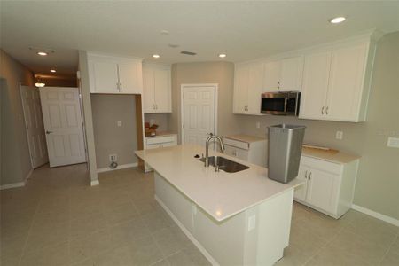 New construction Townhouse house 5625 Tripoli Drive, Palmetto, FL 34221 Alexander - Townhomes- photo 3 3