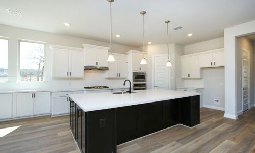 New construction Single-Family house 1232 Terrace View Drive, Georgetown, TX 78628 - photo 8 8