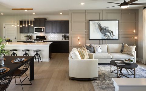 Urban Courtyard Homes at Easton Park by Brookfield Residential in Austin - photo 31 31